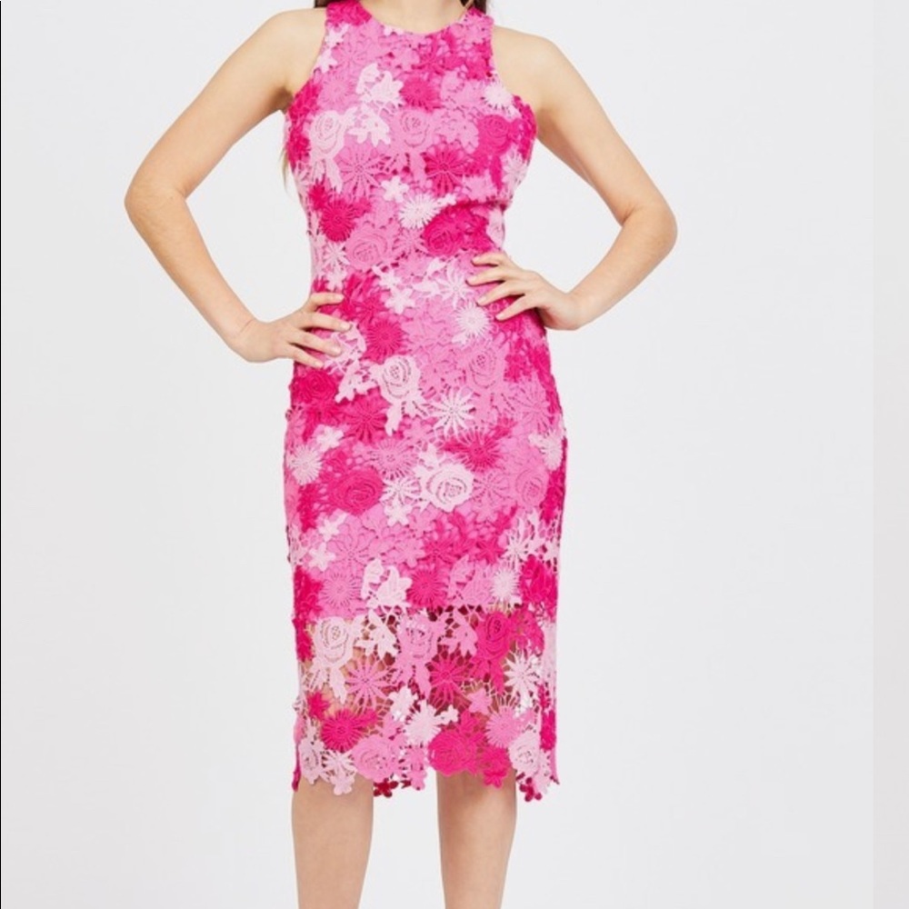 Alexia Admor Midi Floral Lace Sheath